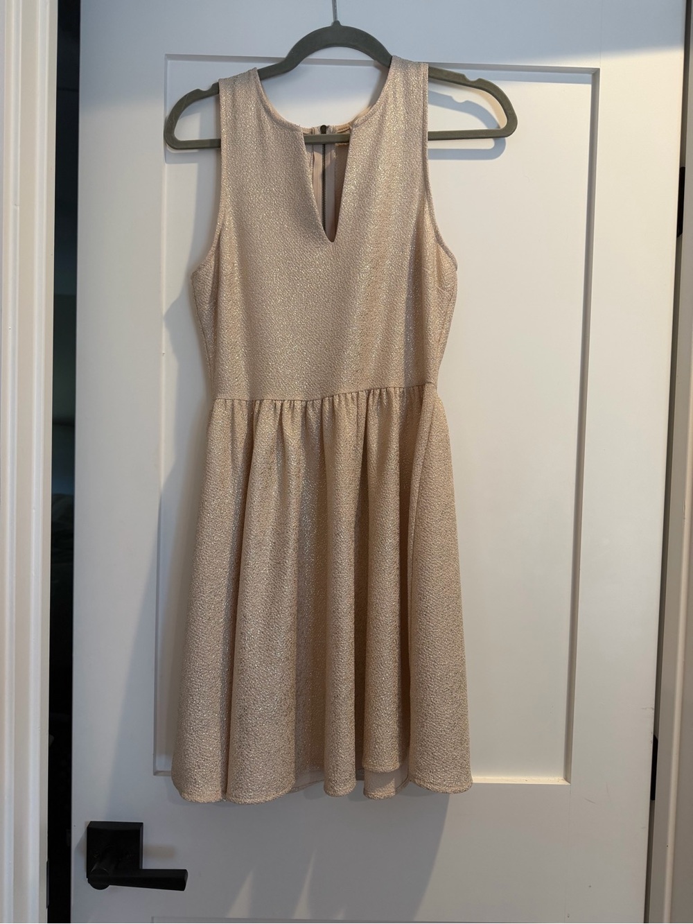 Everly Shimmery Cream Sleeveless Fit & Flare Mini Dress